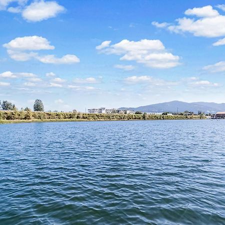 Ferienwohnung Driftwood Waterfront Gem Sandpoint Exterior foto
